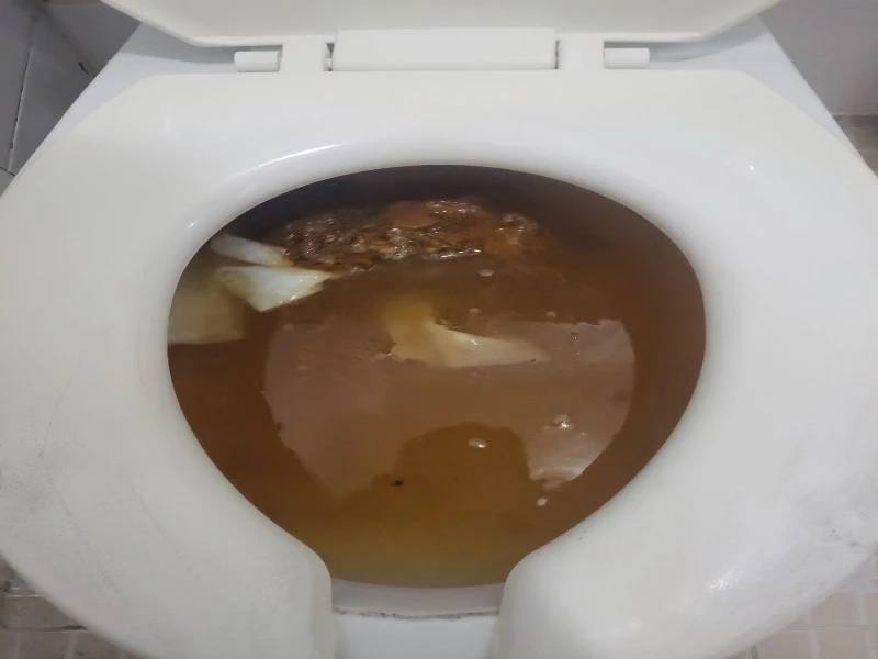 평촌 변기막힘 작업사례 27