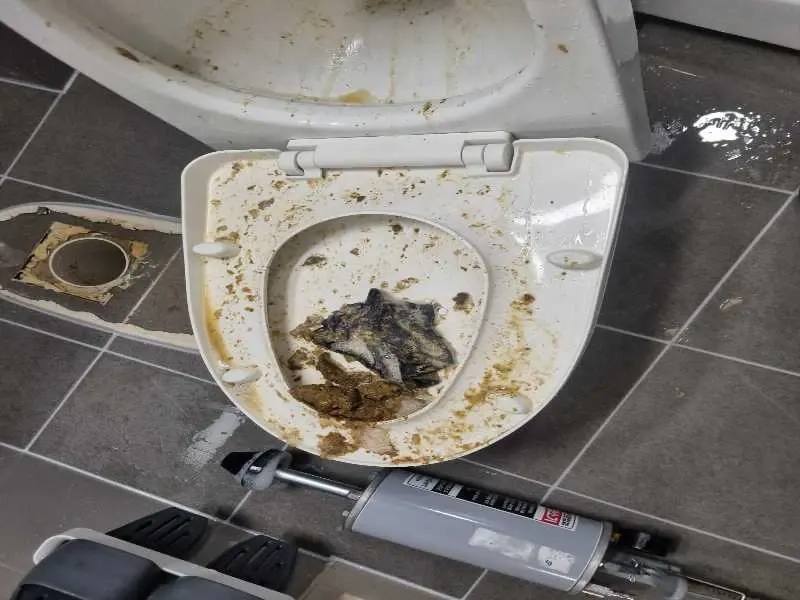 평촌 변기막힘 작업사례 5